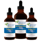 Preview: Yeast X Package (Yeast I & II, je 60ml) Sarsaparilla, 120ml